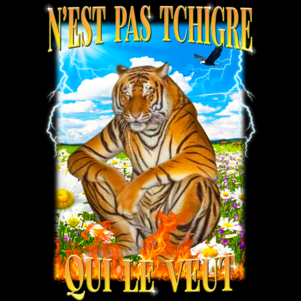 T-shirt N'EST PAS TCHIGRE QUI VEUT